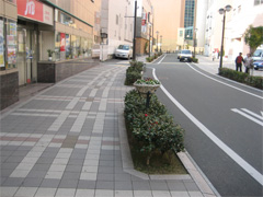 写真：歩道等と車道の区別及び横断防止に植樹帯を設置した例