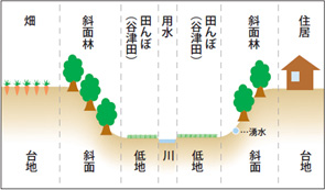 谷津の土地利用のイメージ