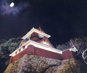 2009年に実施した二俣城（一夜城）復元