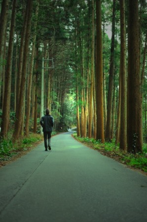 森の中の一本道を進む人