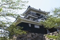 浜松歴史散策　知られざる浜松城400年の歴史
