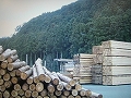 浜松市の森林の現状とその保全事業