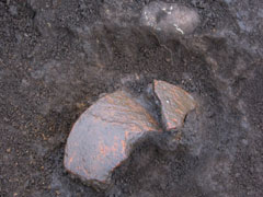 発掘体験で出てきた大きな土器