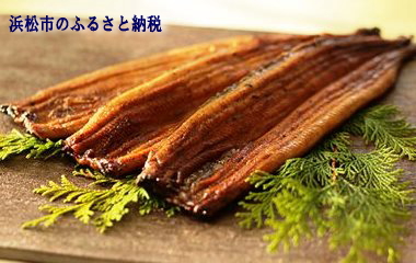 浜松市のふるさと納税