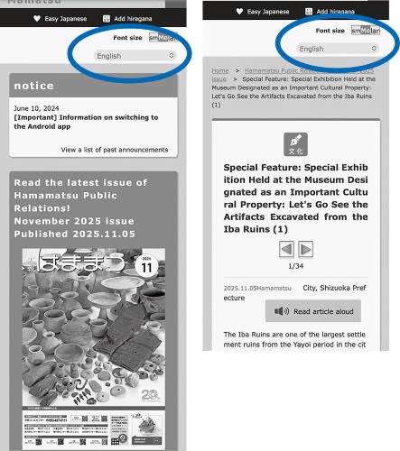 Information Bulletin Hamamatsu Plus