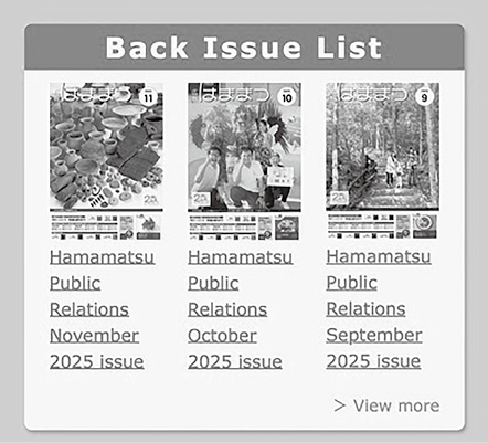 Information Bulletin Hamamatsu