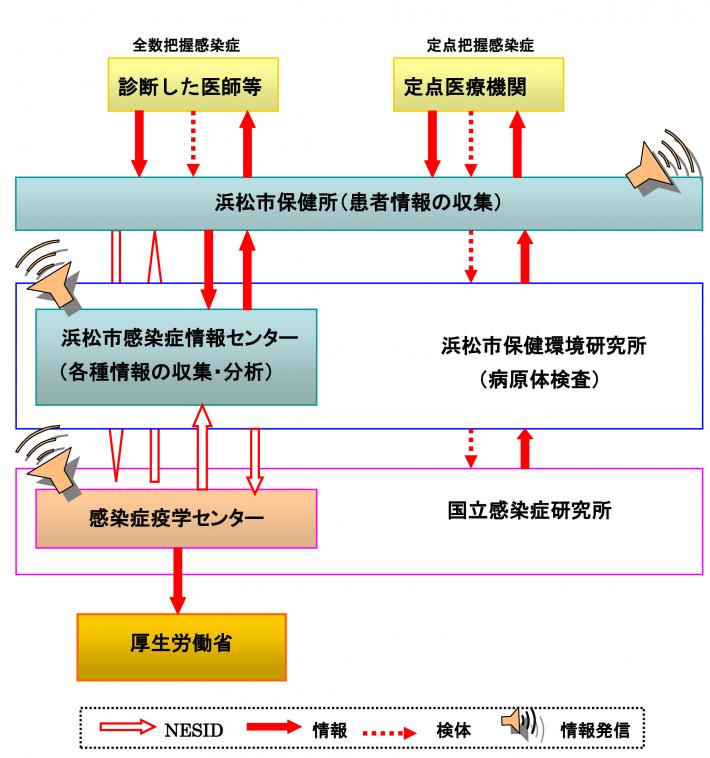 事業実施概要