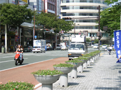 写真：歩道等と車道の区別に植樹を兼ねた車止めを使用し、景観に配慮した例