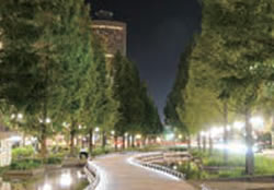 アクト通りの都市緑化（夜景）