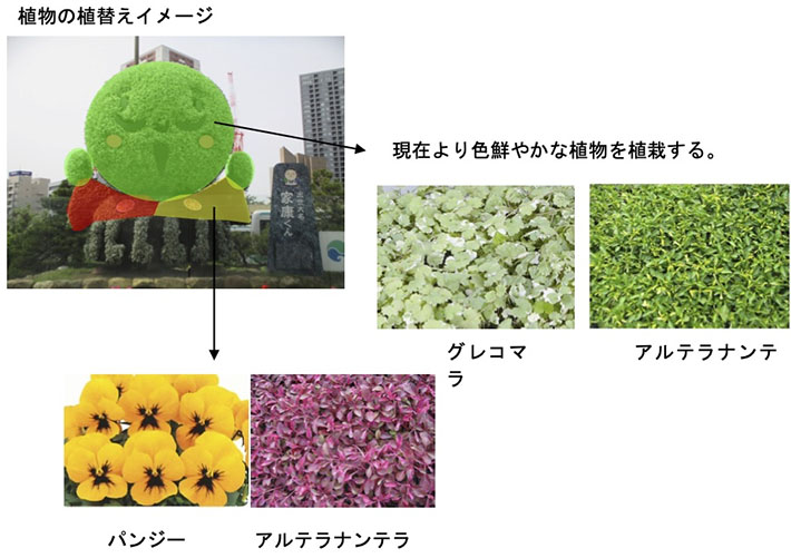 植物の植替えイメージ