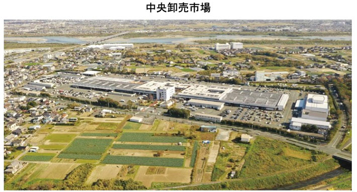 中央卸売市場