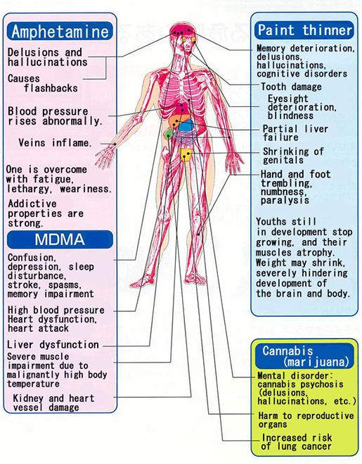 effect of drugs