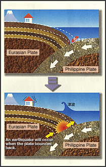 The mechanics behind the Tokai Earthquake