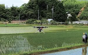 ドローンによるジャンボタニシ駆除の様子