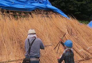 平葺き2