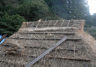棟積1