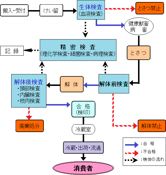 と畜検査・食鳥検査の流れ