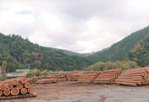 木材を集積・選別するための中間土場（天竜区佐久間町