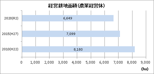 経営耕地面積2020