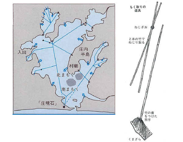 もく取り場の分割（左）、もく取りの道具「ねじざお」と「くまざら」（右）