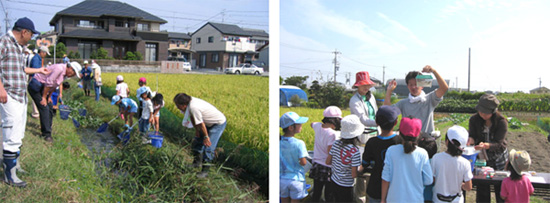 生き物調査（東区内）