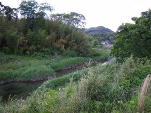 保全された都田川の旧河川（北区）