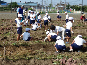 耕作放棄地を活用した地域活動（南区恩地町）