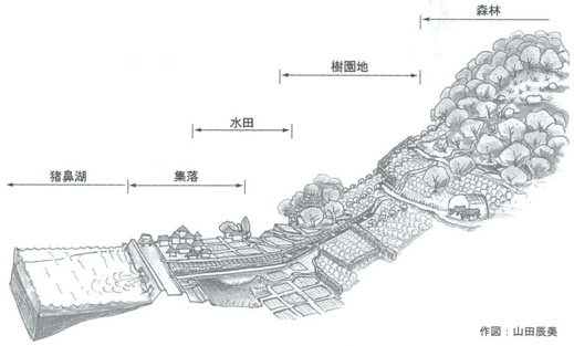 農村集落の断面構成（三ヶ日町の例）