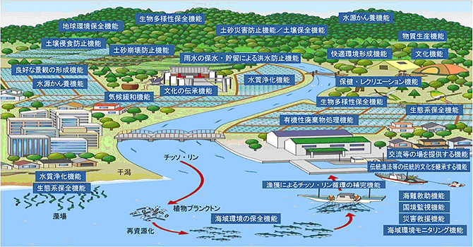 農業・森林・水産業の有する多面的機能のイメージ