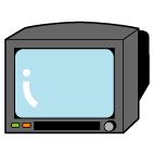 CRT TV, flat-screen TV(liquid crystal/ plasma )
