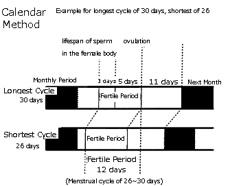 Calendar/Rhythm Method (Ogino)