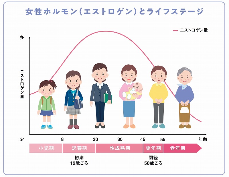 エストロゲン量