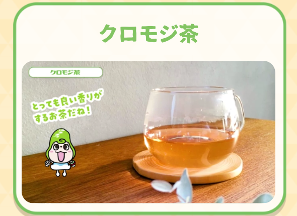 天竜の森で生まれるお茶