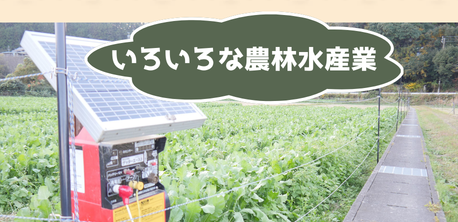 いろいろな農林水産業