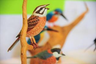 本物そっくりに作られた野鳥の彫刻