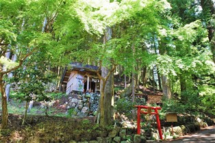 新緑の中の足神神社