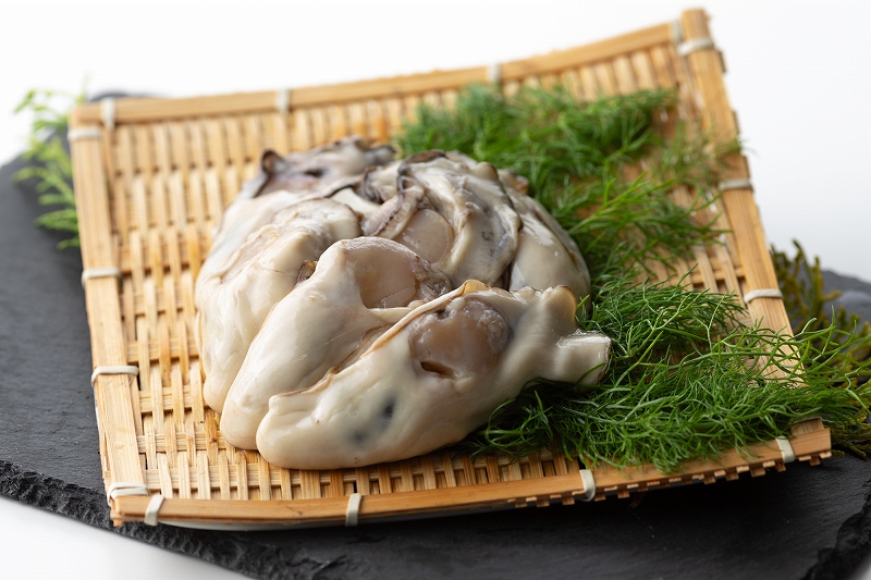 oyster