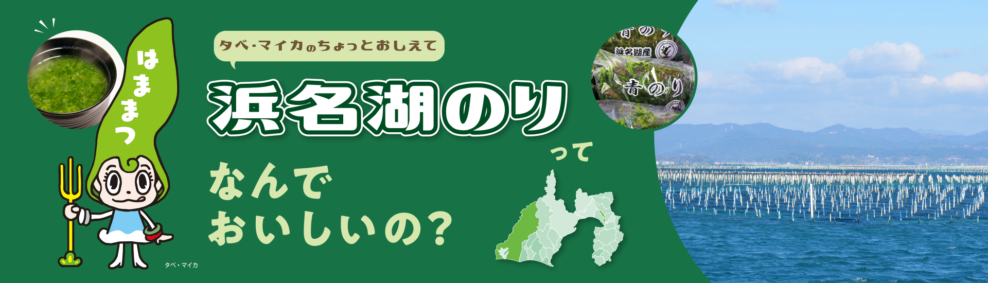 浜名湖のりってなんでおいしいの？