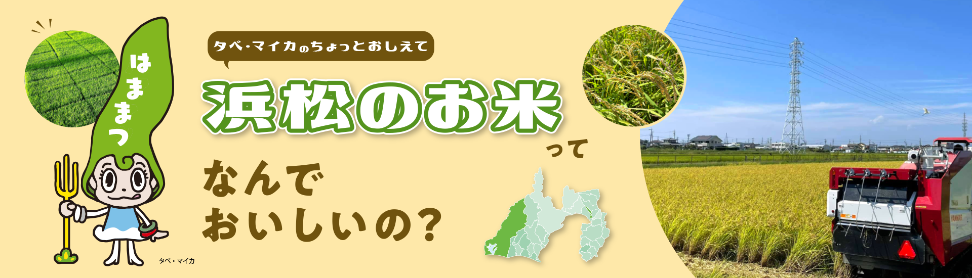 浜松のお米ってなんでおいしいの?