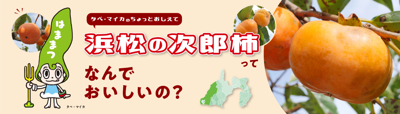 浜松の次郎柿ってなんでおいしいの