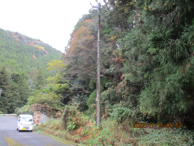 ikandoookami