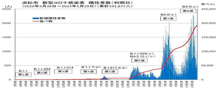 浜松市 新型コロナ感染者 陽性者数（判明日）