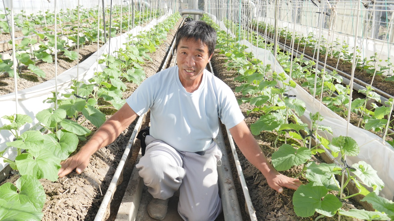 メロン栽培の傾斜をつけた高床