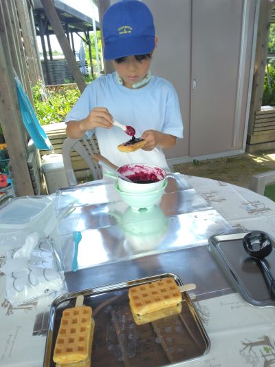 hamanakoberry6