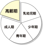 Mさんのライフステージの図（高齢期）