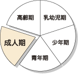 Kさんのライフステージの図（成人期）