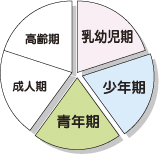 Aさんのライフステージの図（青年期）