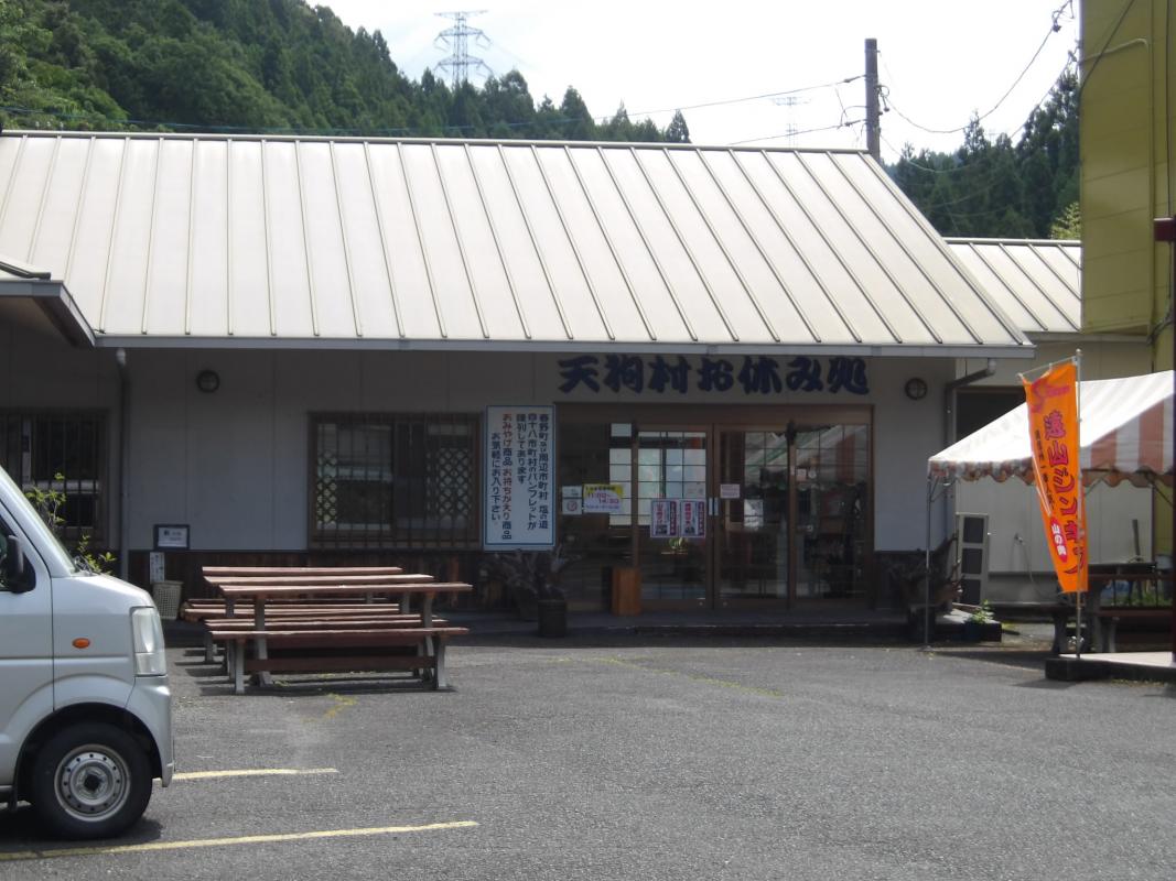 くまの親子
