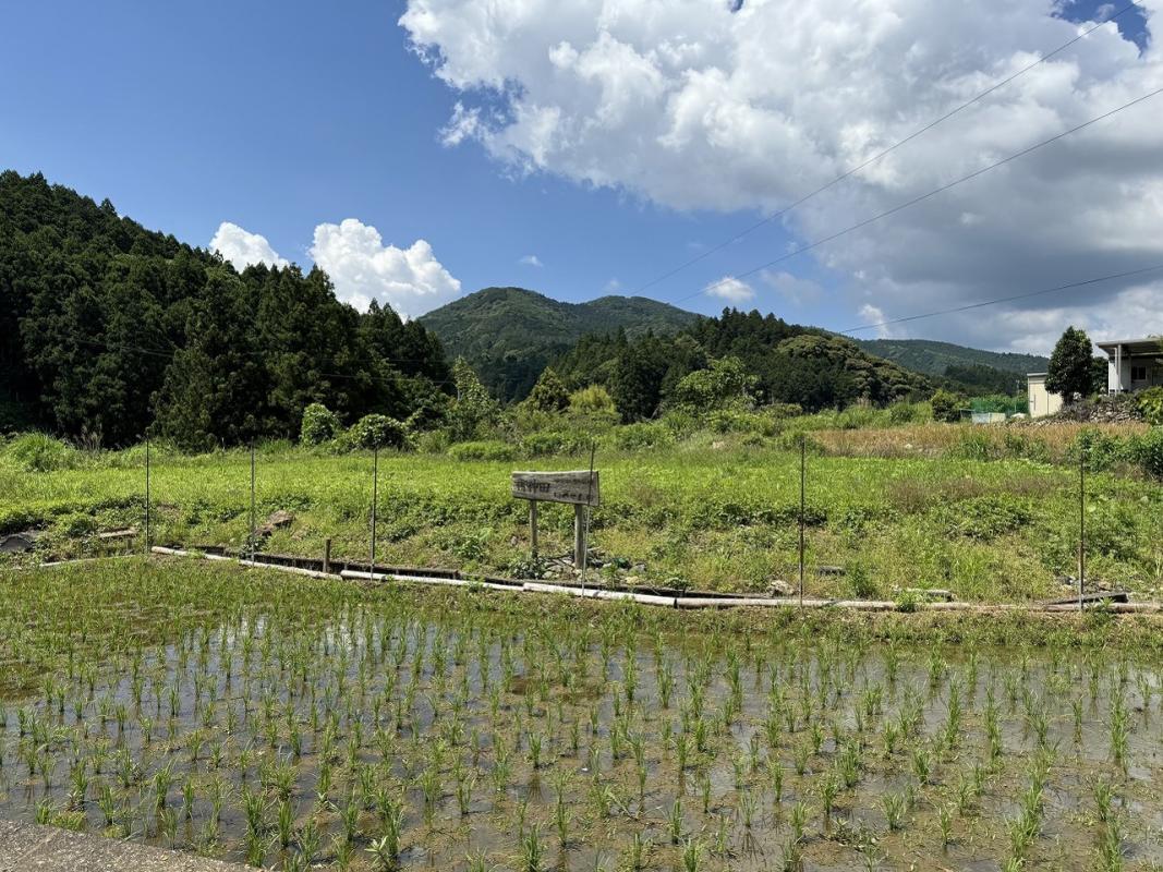 川名農村公園