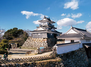 土塀の再建が期待される浜松城